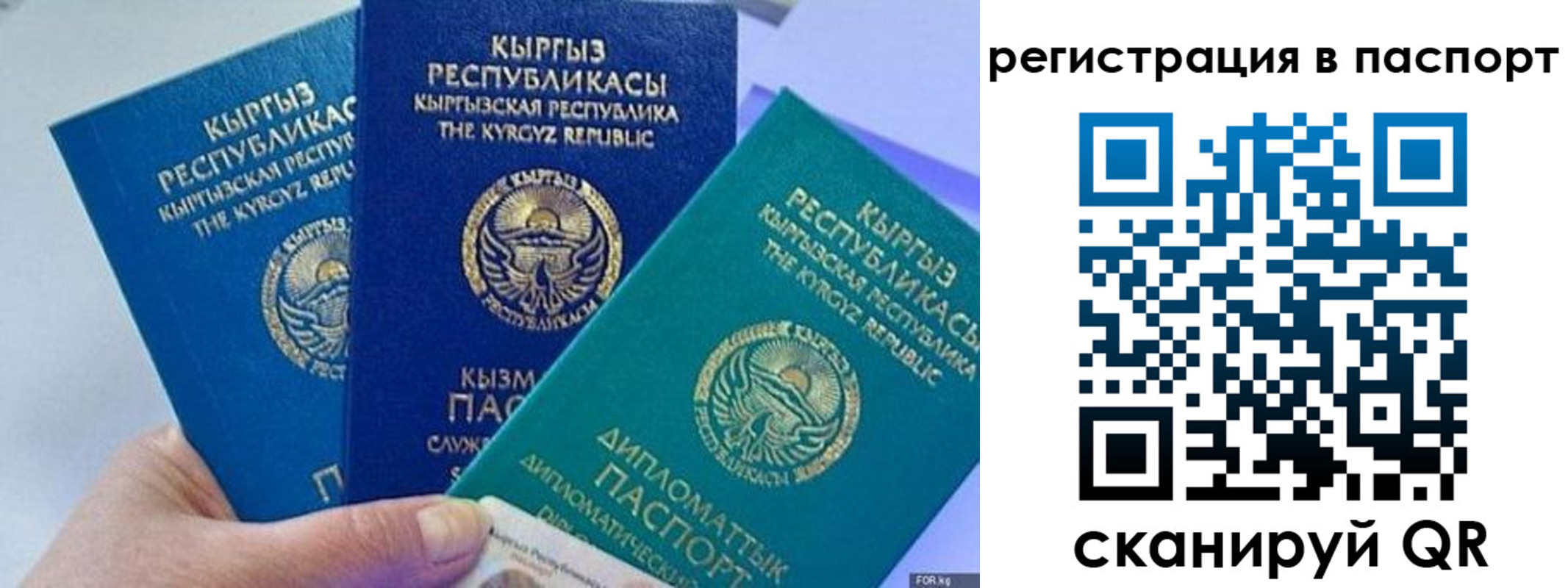 прописка 2025 в Плавске